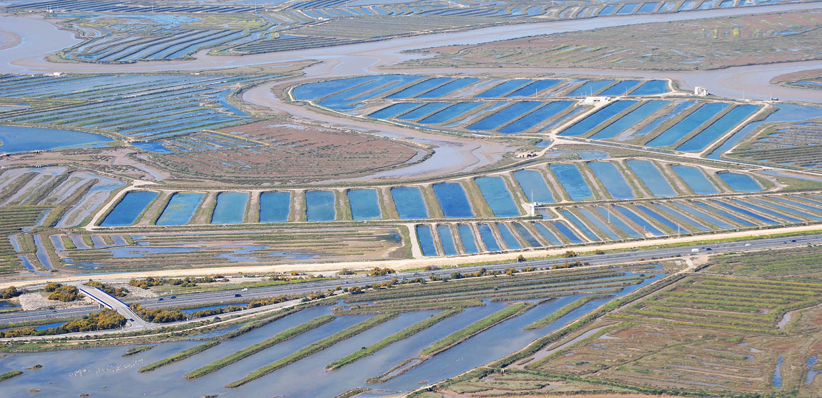 Listado vertical: Foto aérea de balsas de cultivo en marismas transformadas en vertiente Atlántica