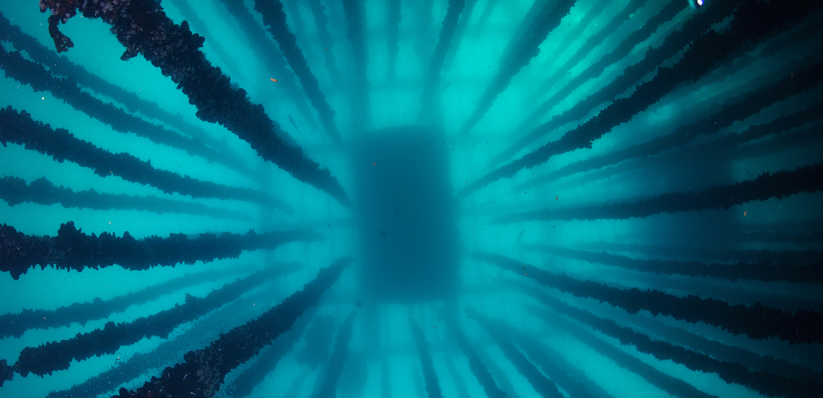 atención al público en oficina