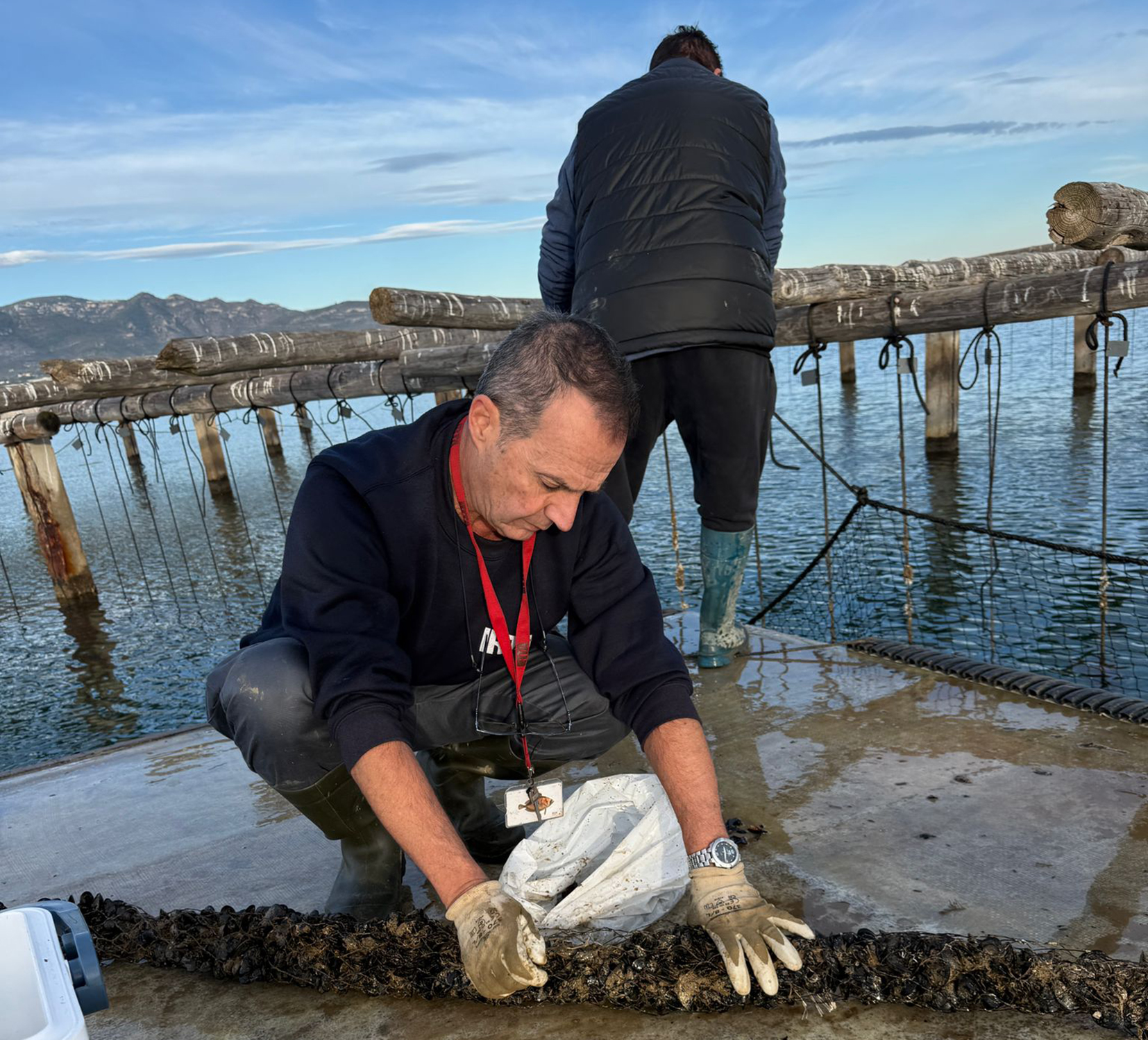 Investigadores del IRTA trabajando con mejillones