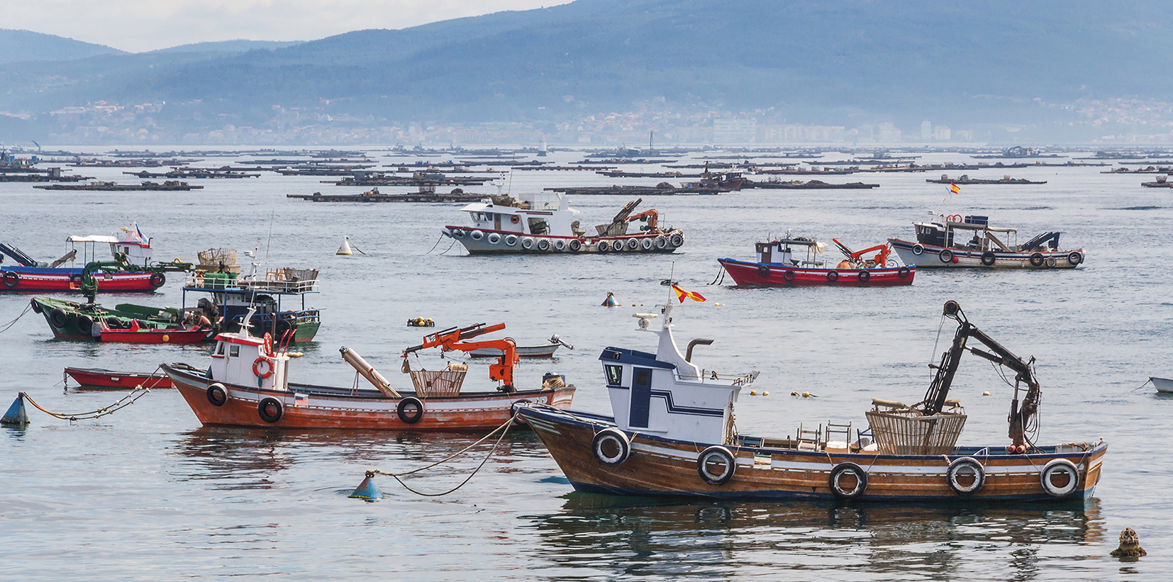 Barcos de pesca del mejillón en la Ría de Arousa (Galicia)