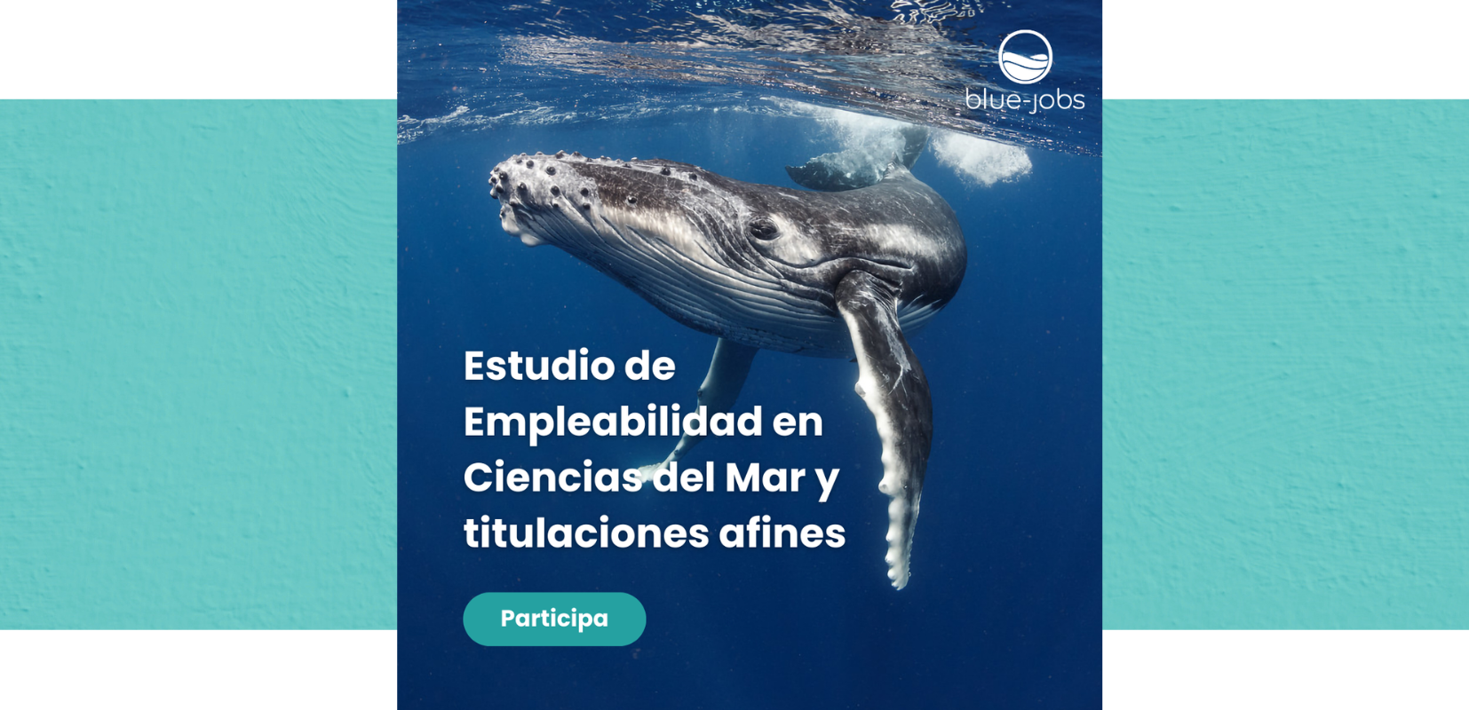 encuesta empleo blue jobs