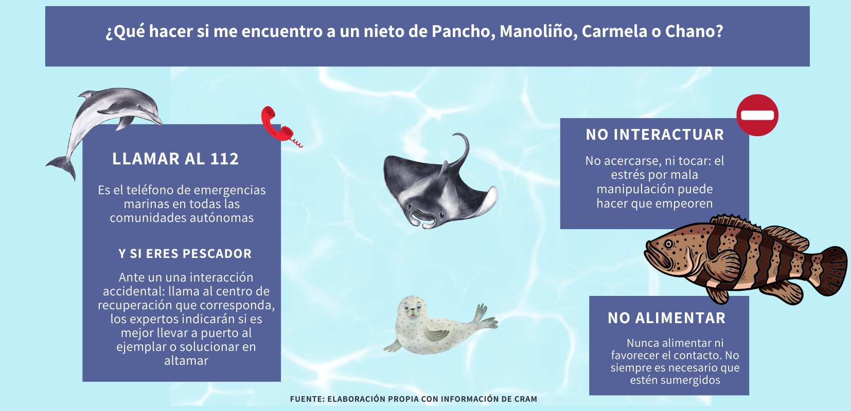 Infografía sobre qué hacer si me encuentro un animal marino en la playa.