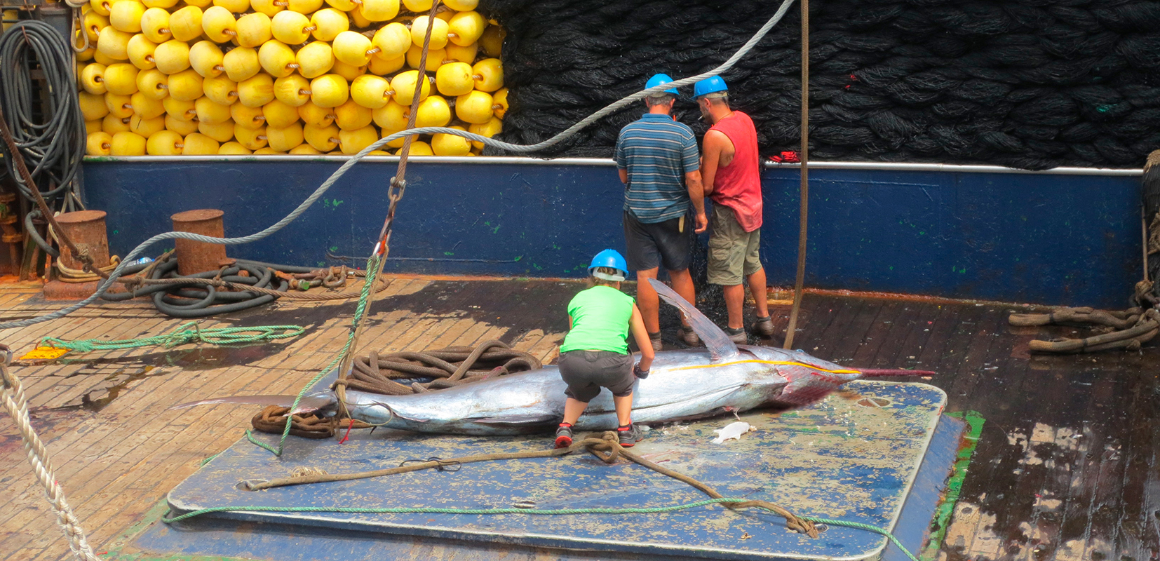 Una observadora recopila datos biométricos de las capturas en el Índico.