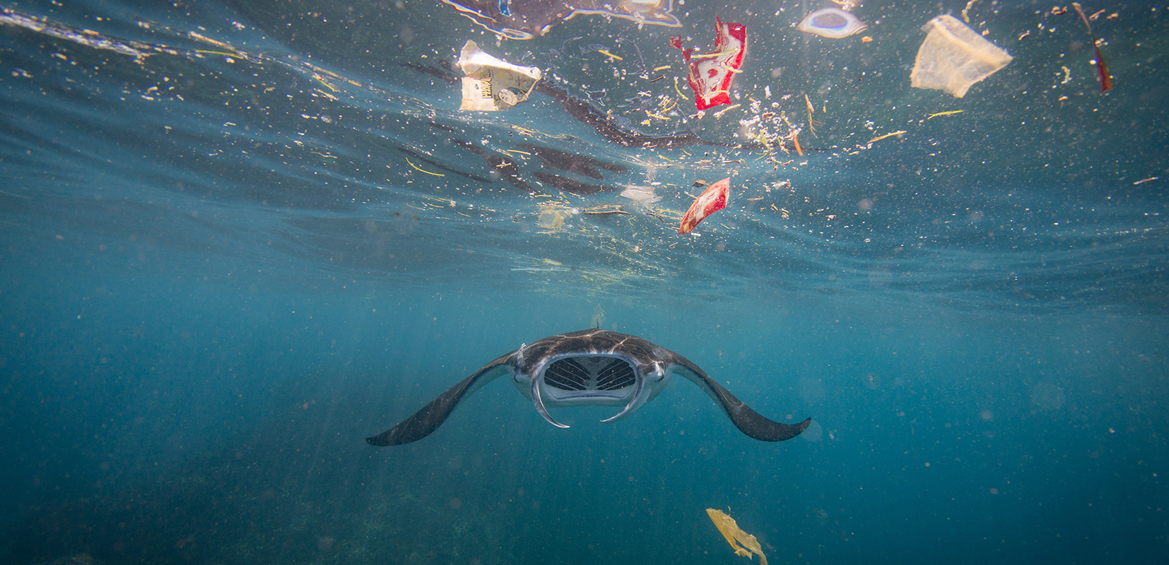 Listado vertical: basura marina foto de Vicent Kneefel para Ocean Image Bank
