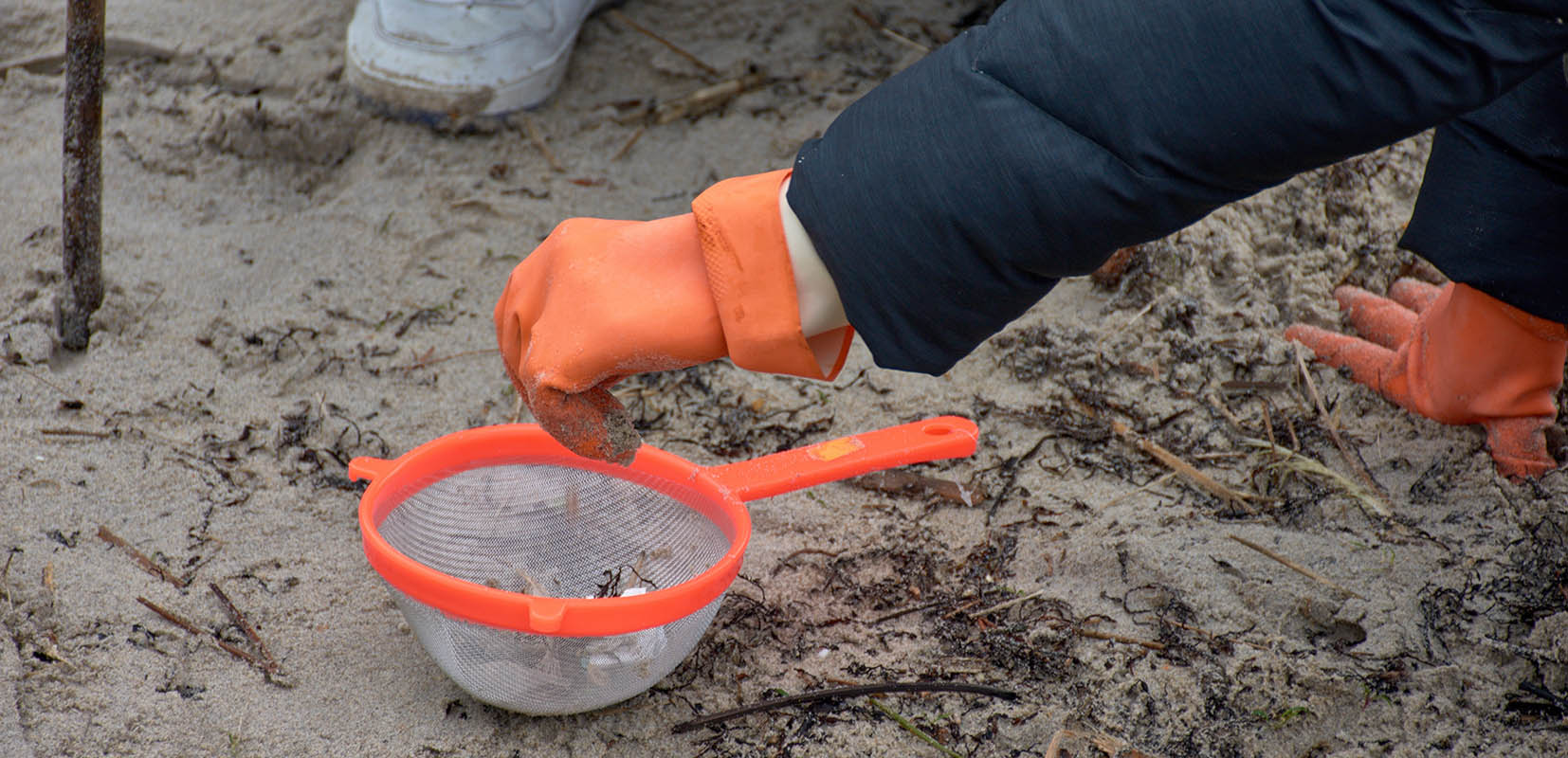 voluntarios recogiendo pélets de plástico en playas gallegas