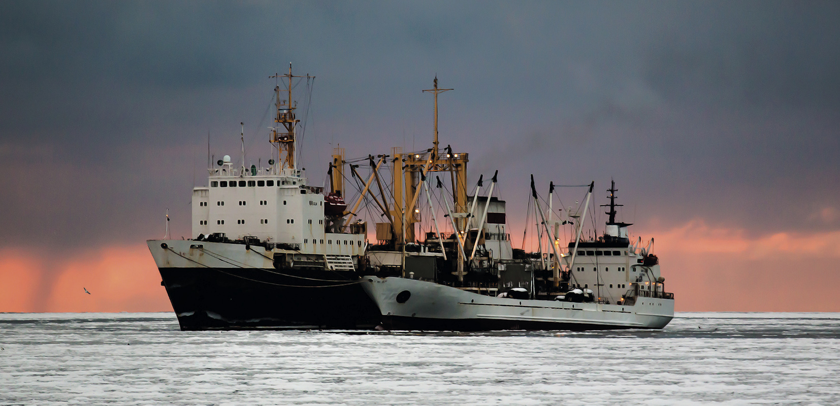 Trasvase de pescado a un buque frigorífico en el mar de Okhotsk