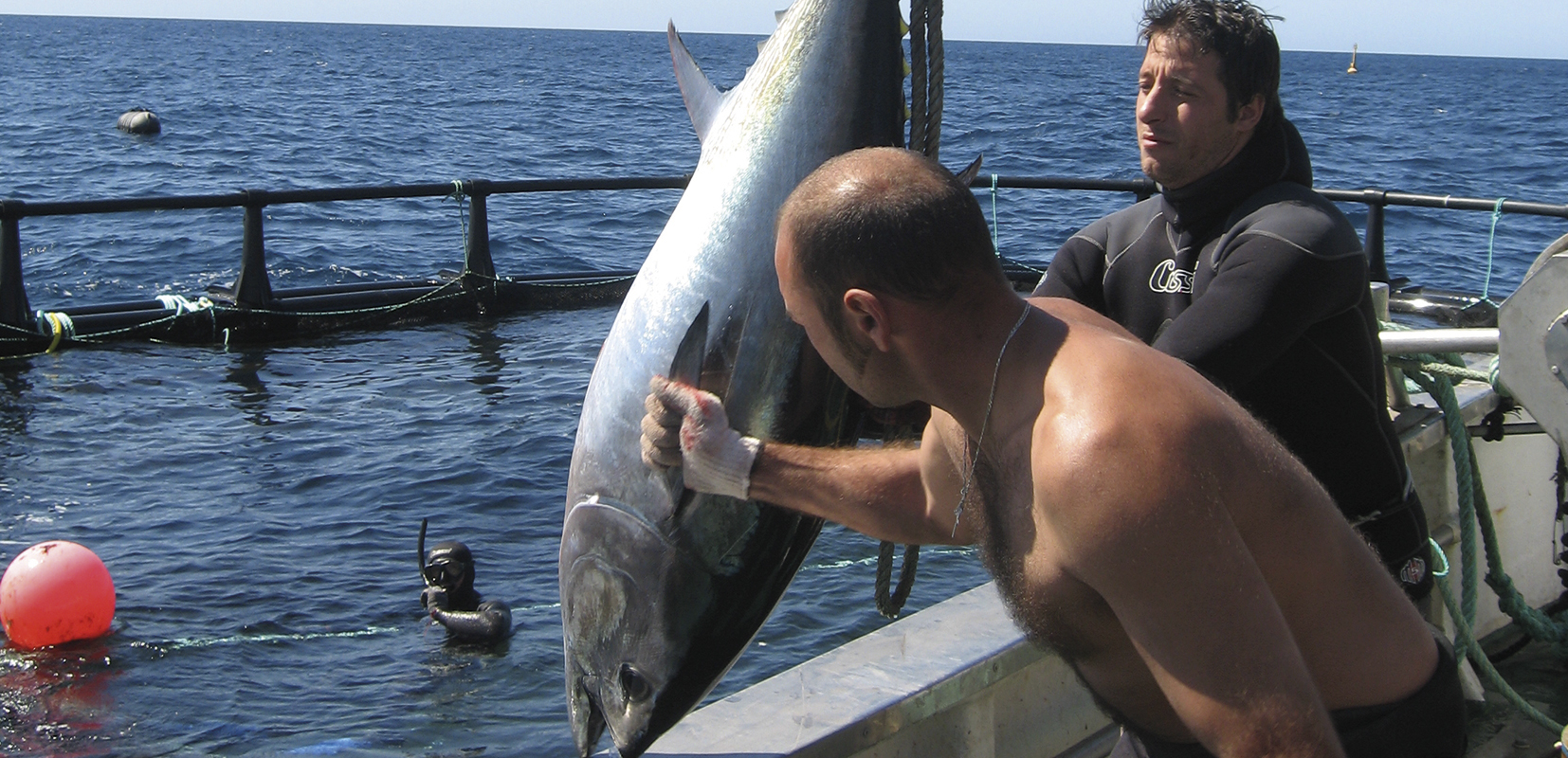 hombres pescando un atún