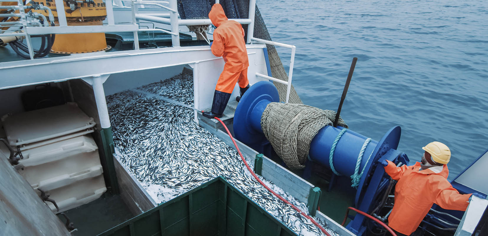 Pescadores izando copo con pescado