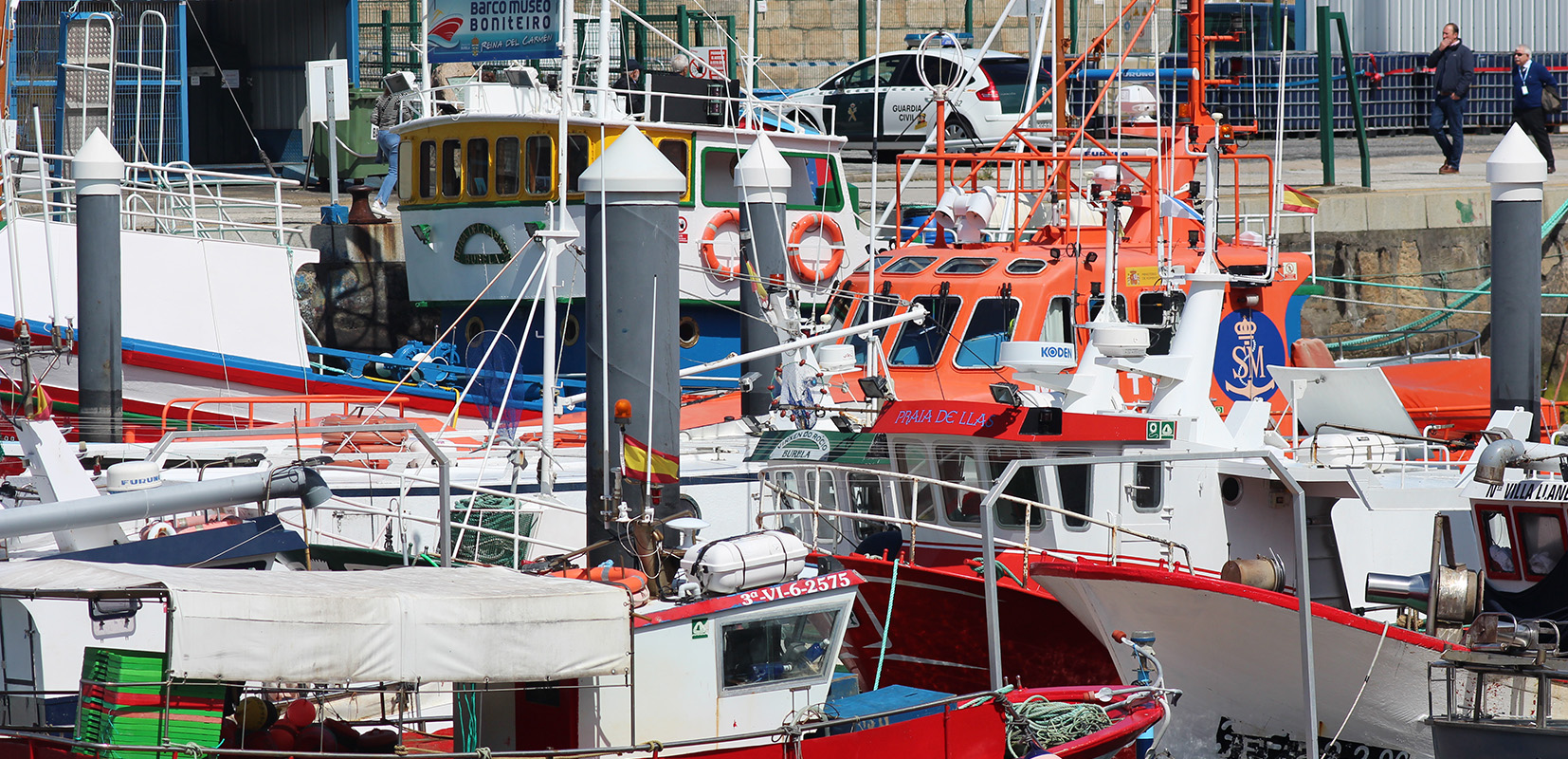 rederas en la lonja del puerto de Santander 