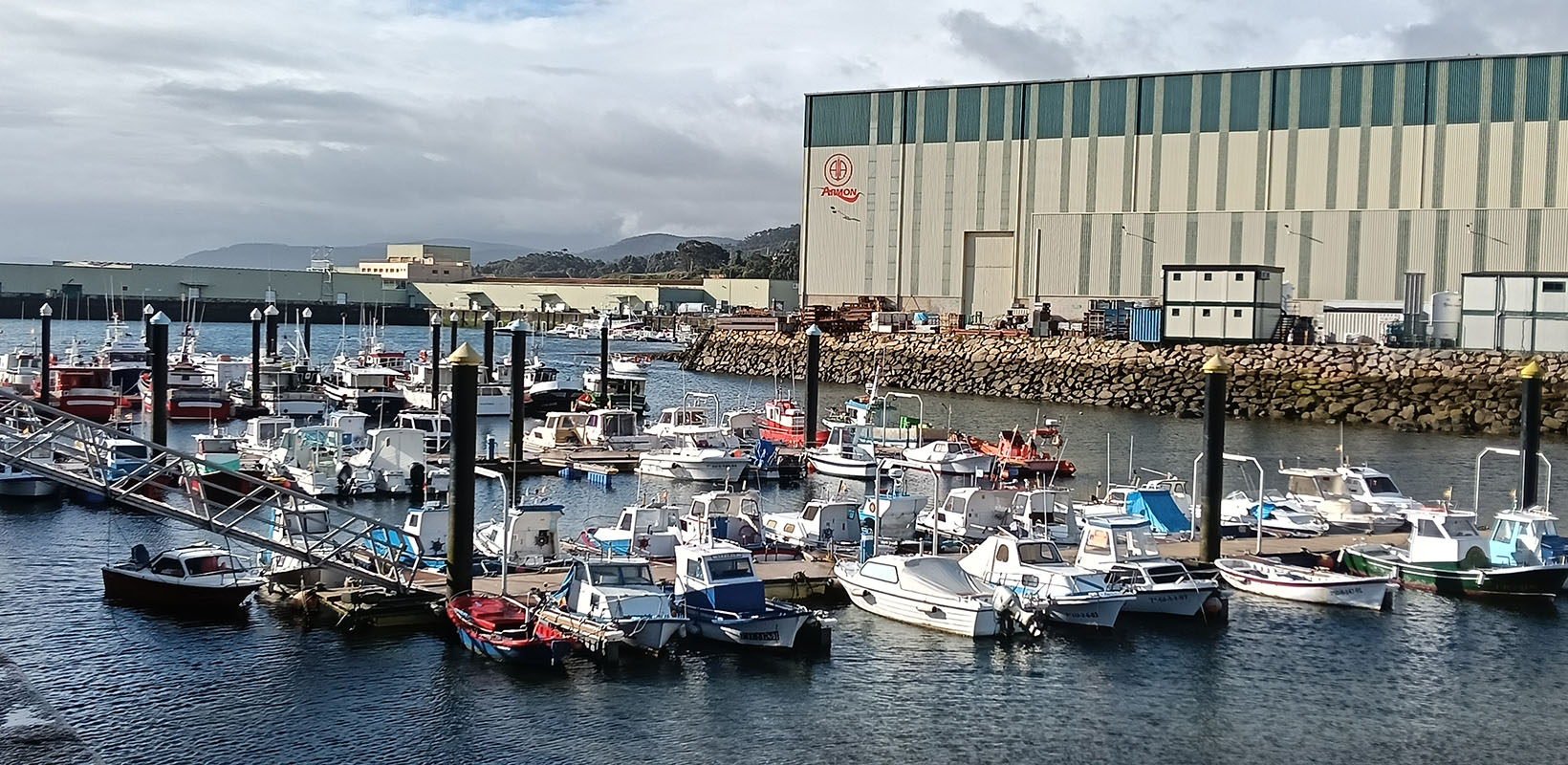 embarcaciones de pesca en el puerto de Burela