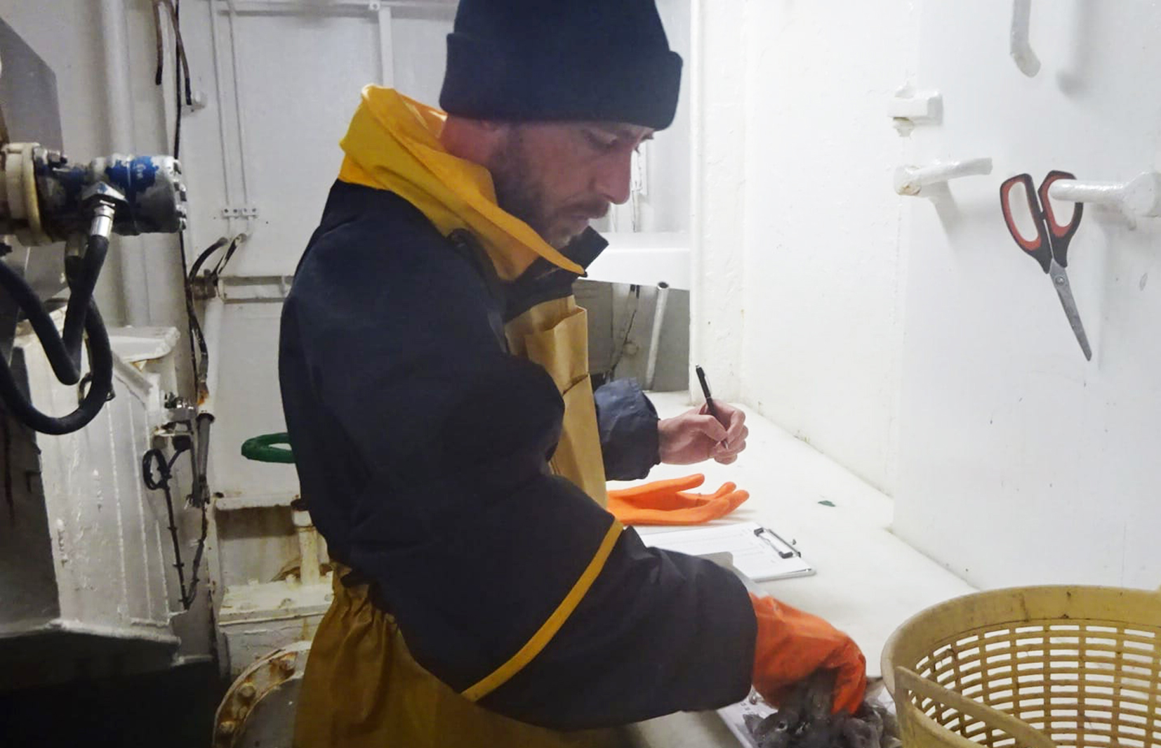 Los observadores pesqueros registran datos para realizar muestreos de las especies capturadas