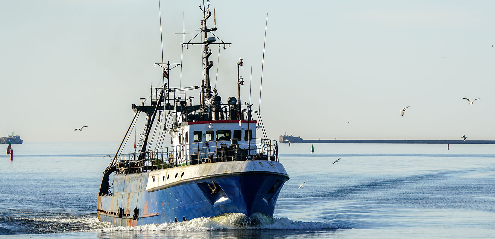 Pescadores sacando un pez de la red de pesca