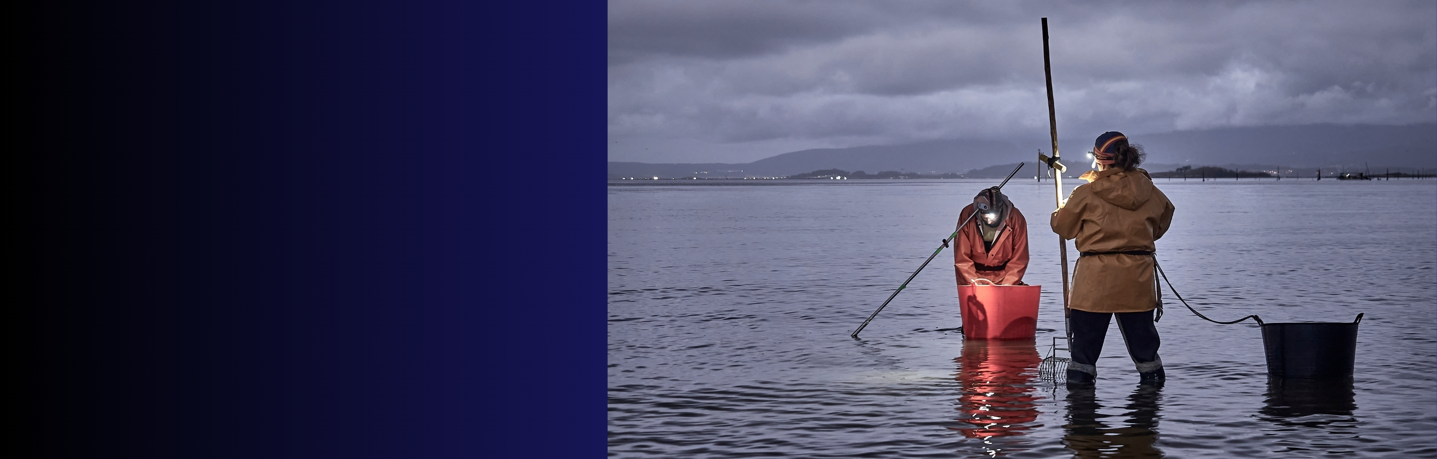 Imagen de ganador del concurso