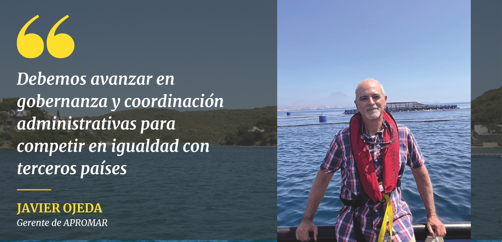imagen subacuática de una batea de mejillones