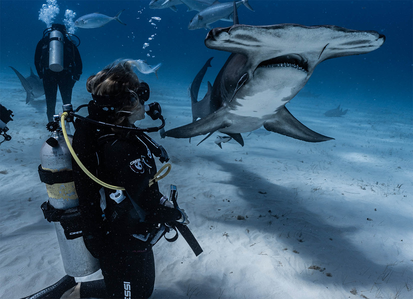 Ana Hernández Sarriá lidera la agencia Entre Azules