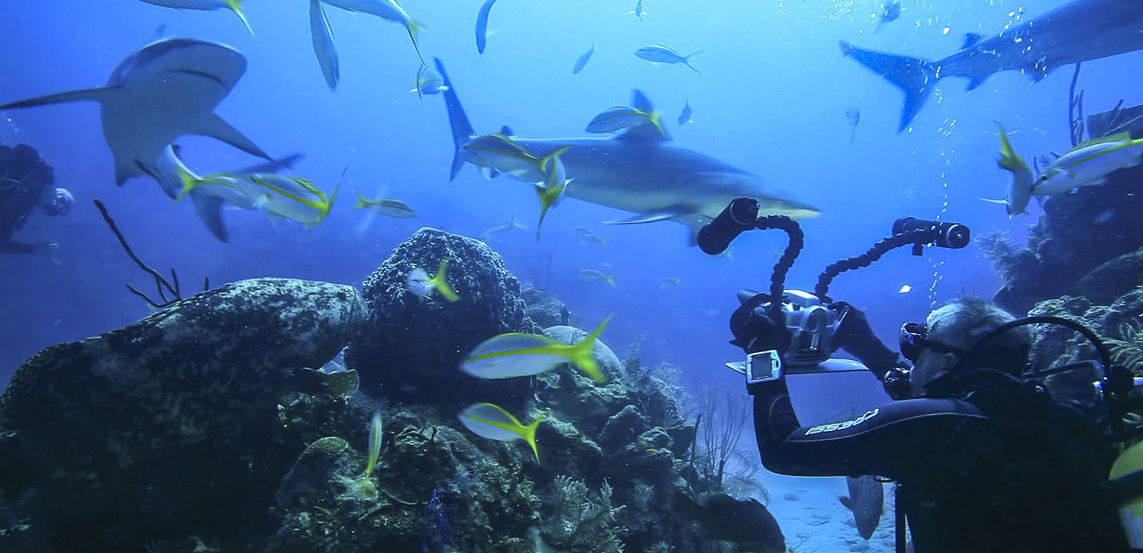 Ha grabado en más de cien localizaciones submarinas
