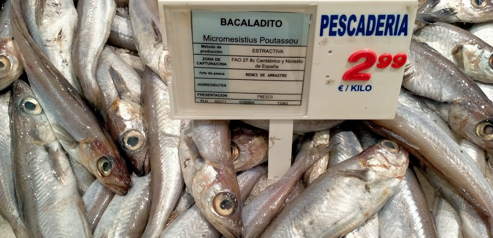 etiquetado precio pescados