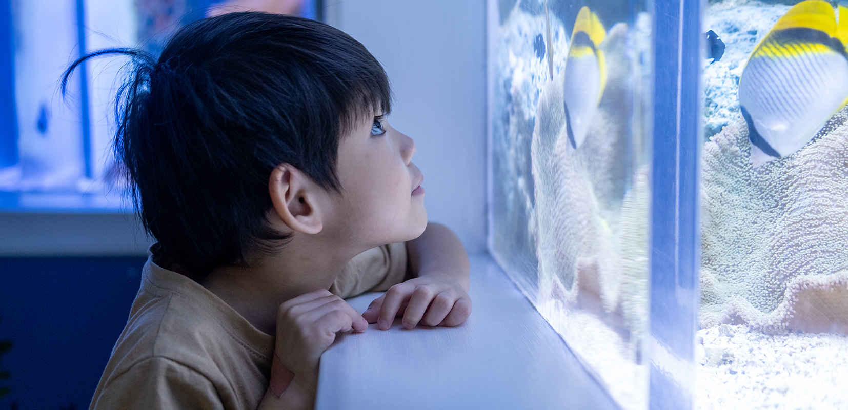 La Fundación Fish Nation trabaja en muchos proyectos con escolares.