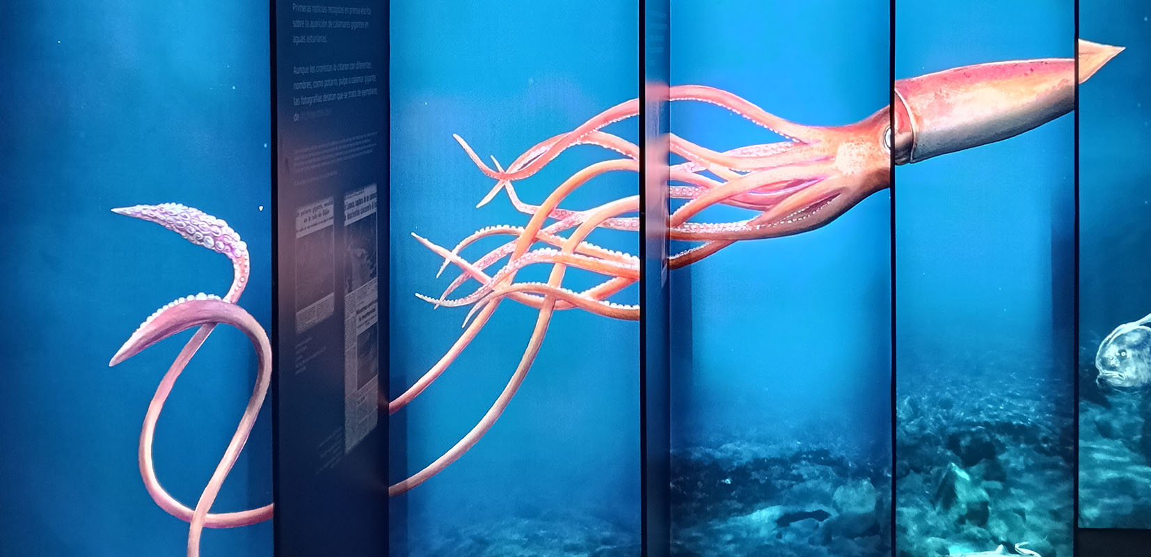 Panel luminosos con un calamar gigante