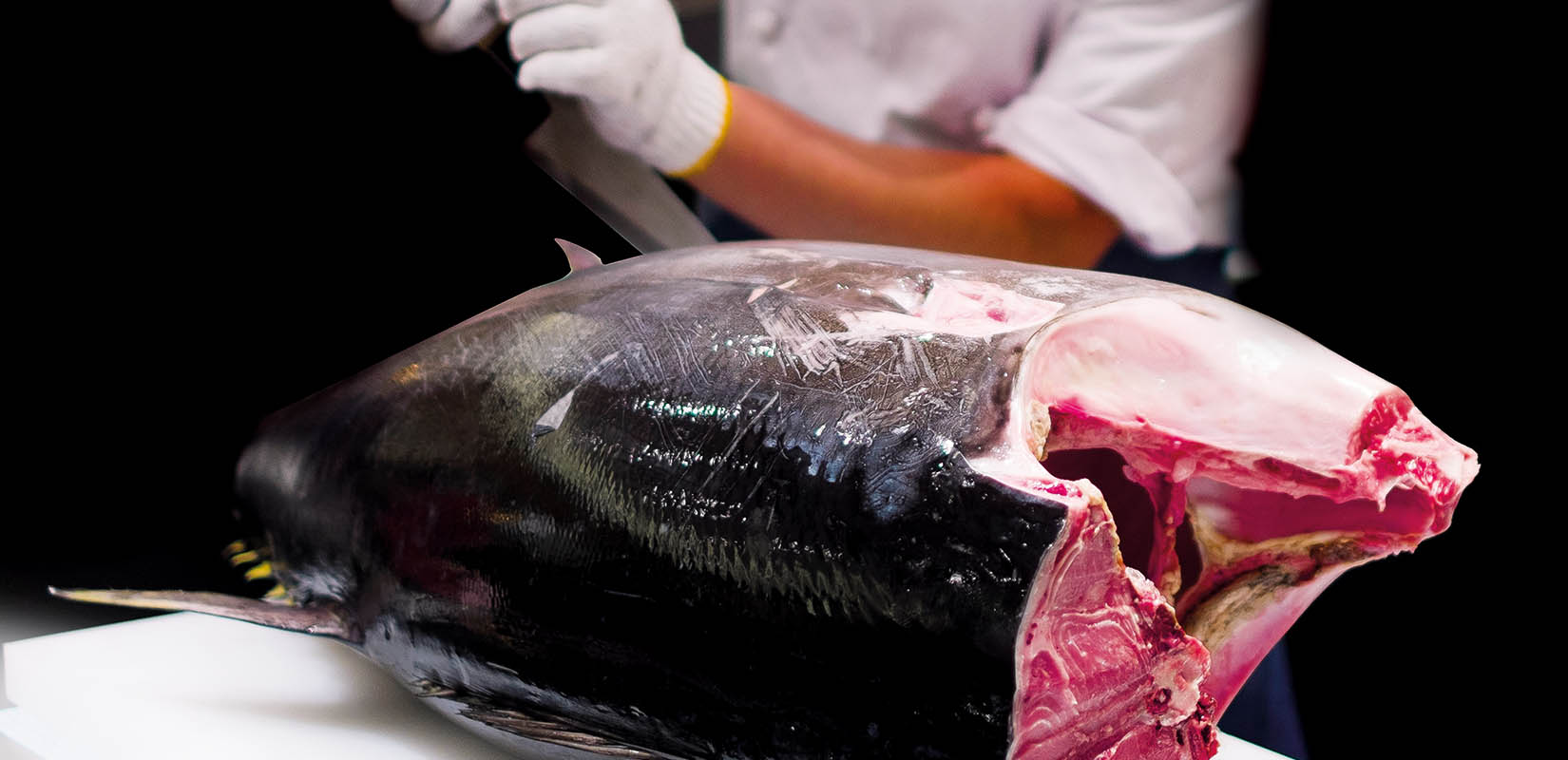 JC Mackintosh dispone de tres embarcaciones artesanales para la pesca de atún rojo del Estrecho en el Puerto de Tarifa Cádiz