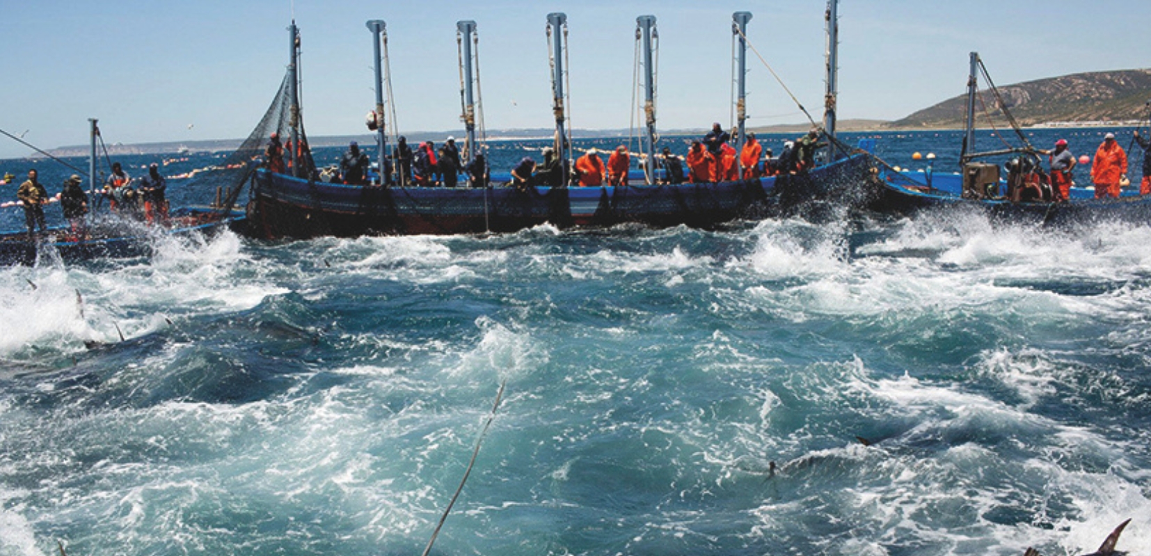 La operación fue puesta en marcha a partir de 1986. Algeciras sufría en la época un colapso absoluto cada vez que llegaban las vacaciones. Miles de vehículos al día realizaban cola para embarcar.  Se llegó a contabilizar, en determinadas fechas, unas 50.000 personas al día, cuando la capacidad de las navieras era de 22.000 pasajeros diarios. Había, en estos casos, lleno absoluto en las explanadas habilitadas como aparcamiento y una fila de unos tres kilómetros de atasco en los accesos. En Ceuta se reproducían problemas similares. El primer plan fue adoptado por Protección Civil en 1987. Se basaba en la atención médica y humanitaria de las personas que estaban esperando, al mismo tiempo que se adaptaban los puertos disponibles para realizar el paso de la manera más eficiente posible.  Los problemas poco a poco se fueron reduciendo, aunque seguían produciéndose situaciones de colapso cuando se producían incidencias. Los puertos se fueron adaptando con la creación de explanadas de preembarque, nuevos accesos, y la optimización de la capacidad de las navieras. Desde entonces, salvo dos excepciones, en 2020 y 2021, se viene desarrollando este movimiento migratorio sin incidentes.  En junio de 2020, el ministro de Exteriores de Marruecos, Naser Burita, anunció el cierre de sus fronteras y la cancelación, por tanto, de la Operación Paso del Estrecho para ese año a causa de la pandemia de Covid. En junio del año siguiente, un conflicto diplomático con Marruecos mantuvo cerrada la frontera con España y los ciudadanos magrebíes solo pudieron viajar a su país desde los puertos de Génova (en Italia) o Marsella y Sète (en Francia). 