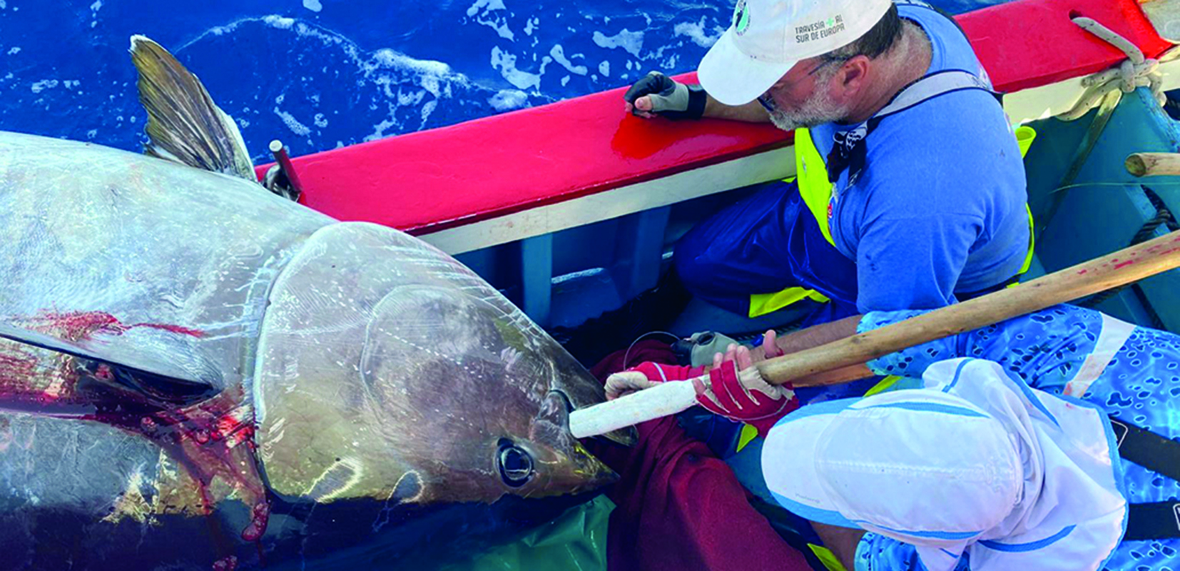 Cuatro personas en un barco en el mar con montañas de fondo