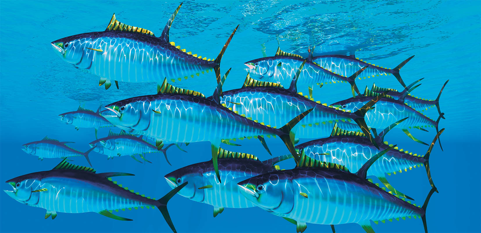 Costa 1 reunión ICCAT