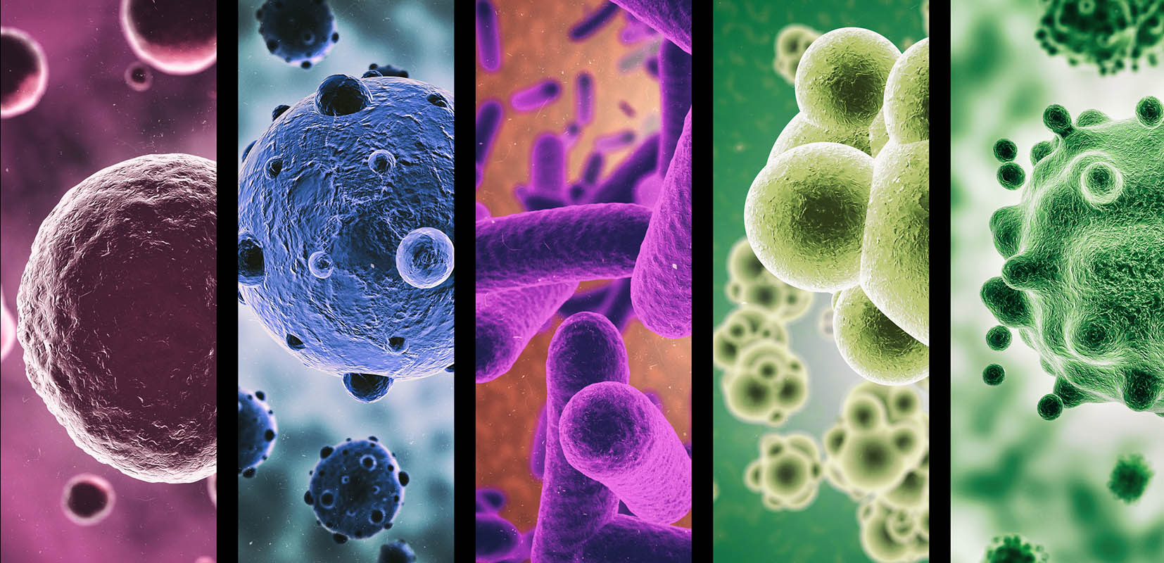 Ilustracion en 3D de diferentes tipos de superbacterias