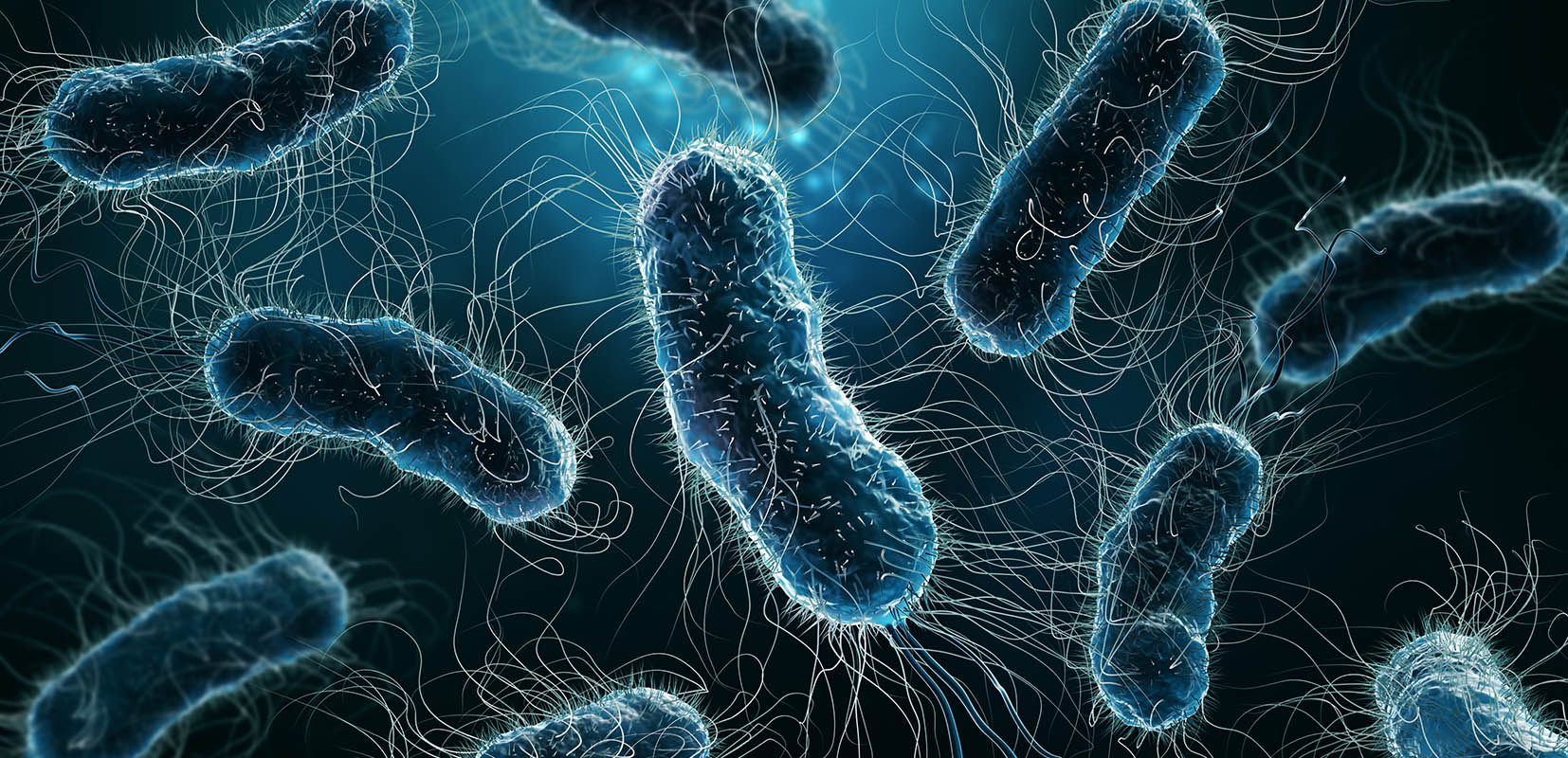 Ilustracion en 3D de una infección por superbacterias
