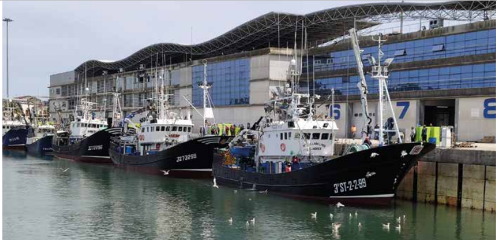 Pesqueros amarrados en el puerto de Santoña