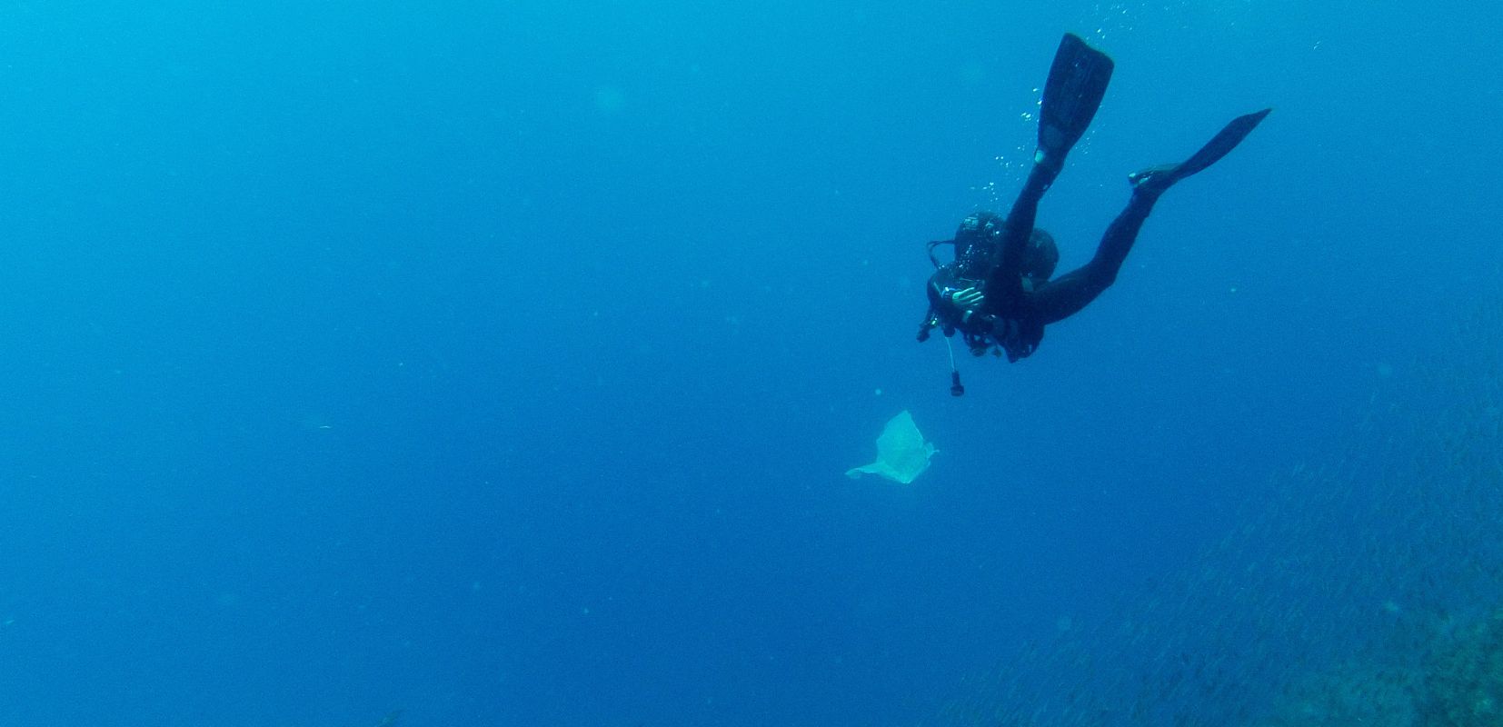 3 Un buceador recoge una bolsa de plástico durante una inmersión en el océano Atlántico Gustavo Muñoz Soriano