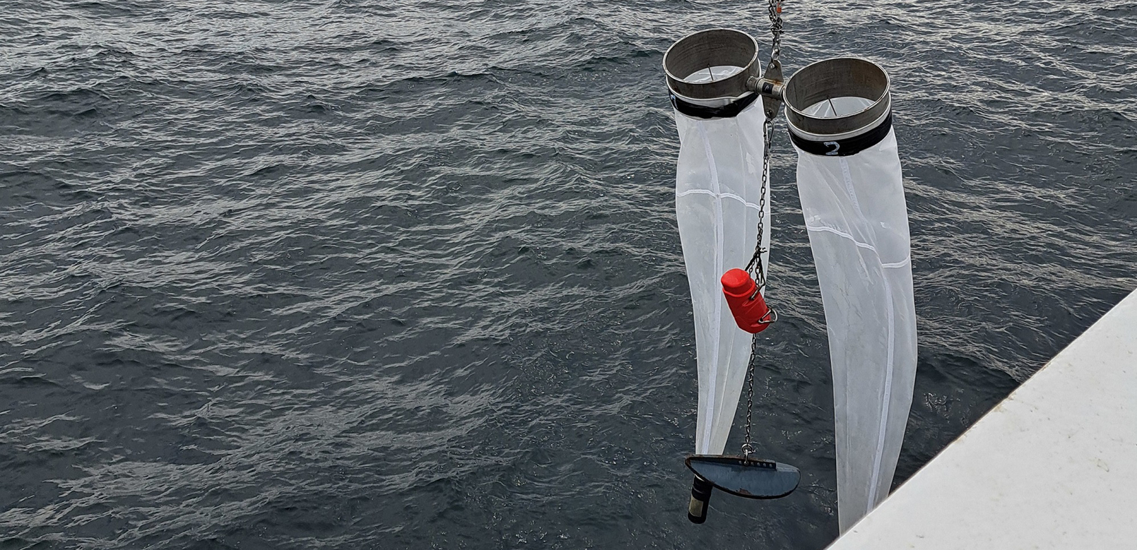 camapaña jureva llevada a cabo por el IEO