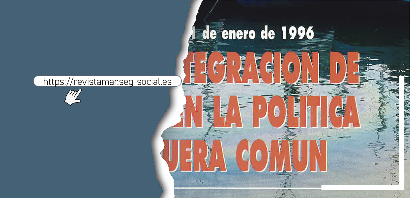 montaje de la portada del libro en una estantería