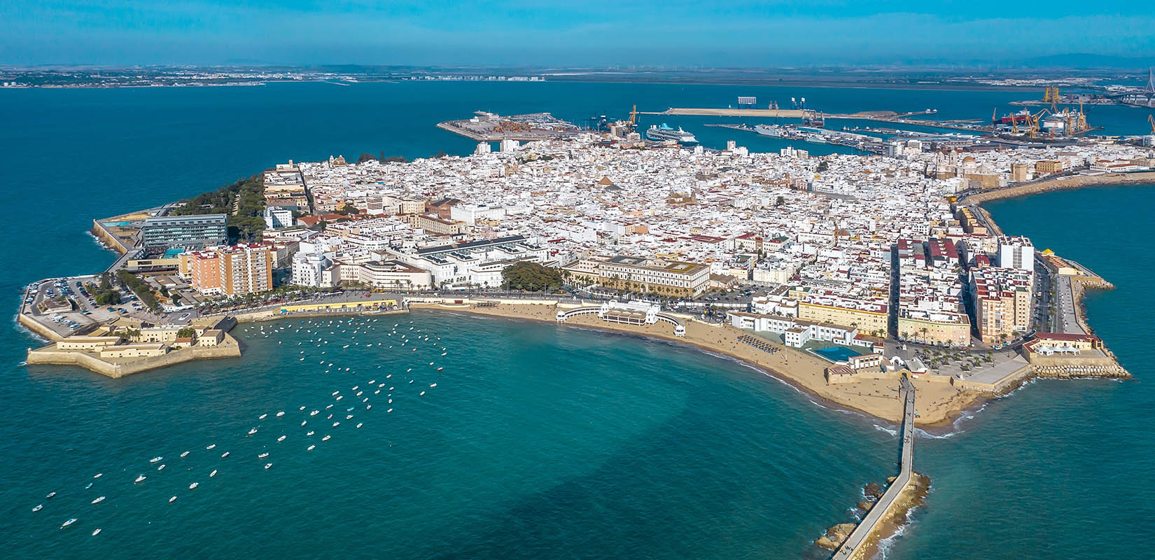 Los puertos de Cádiz y Algeciras aumentan en afiliación cada año.