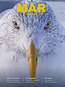 Portada de Número 661 de diciembre