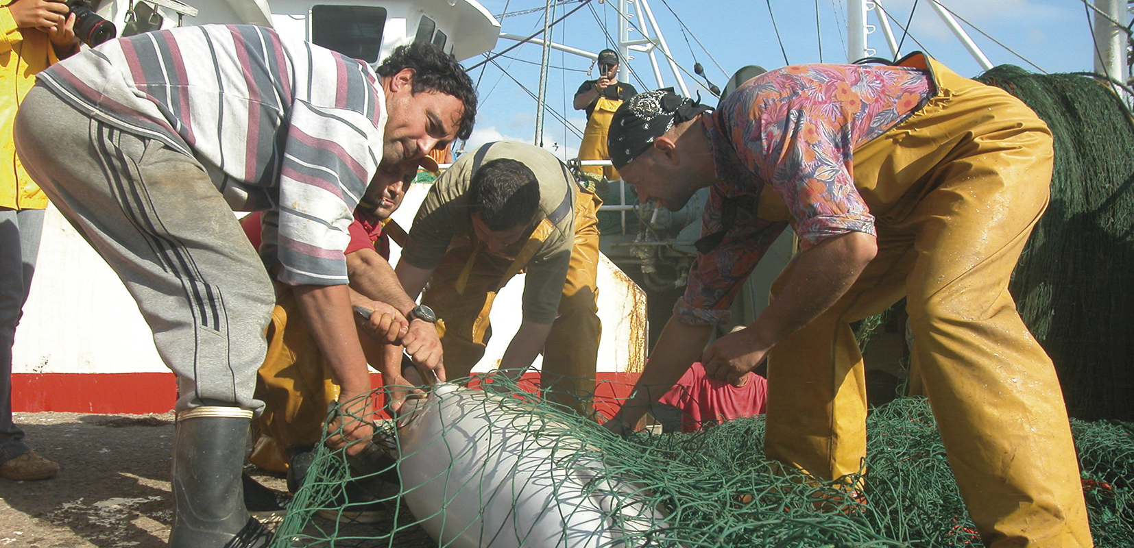 Pescadores sacando un pez de la red de pesca