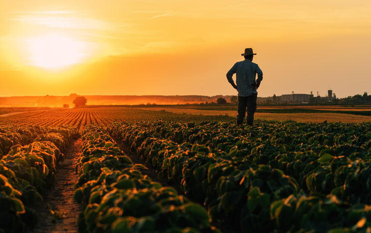 Migraciones impulsa más de 1.000 contratos en el sector agrícola para la integración laboral de personas refugiadas y solicitantes de asilo